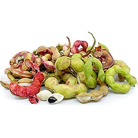 Madras Thorn - Manila Tamarind / Kodikaai