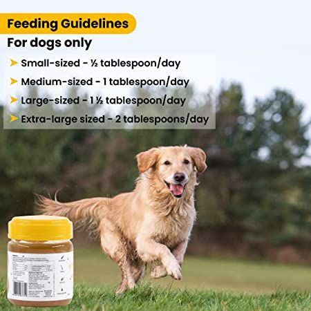 Wiggles Dog Peanut Butter