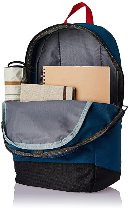 Gear Unisex Colorblocked Polyester 17 L Top Handle Casual Backpack | Black and Blue - M