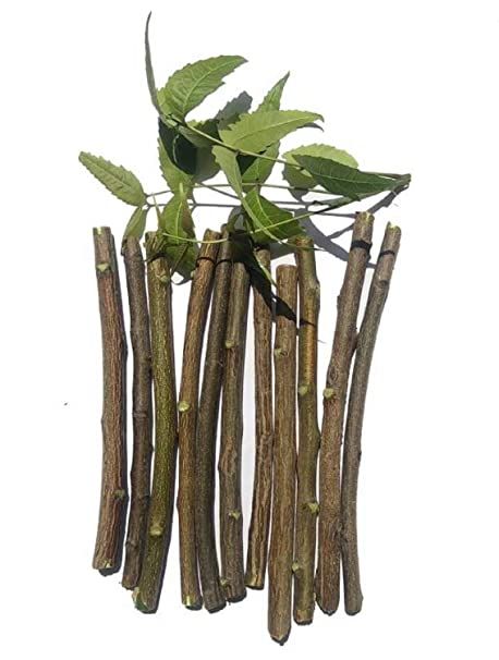 Fresh Neem Stick