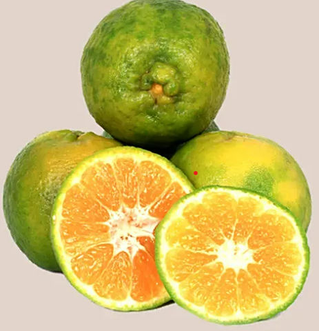 Orange Nagpur Regular