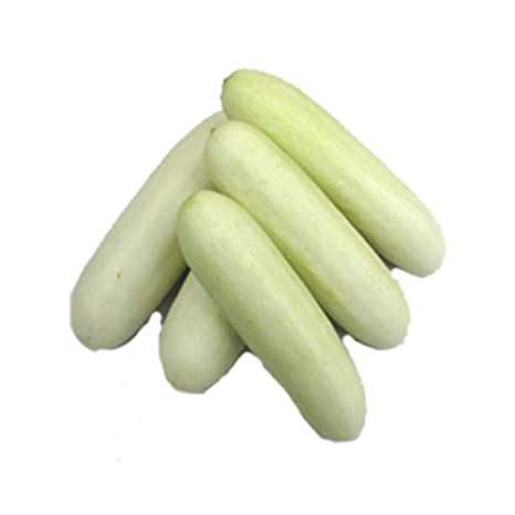 Cucumber White (Pandhri Kakdi) 500 g Combo