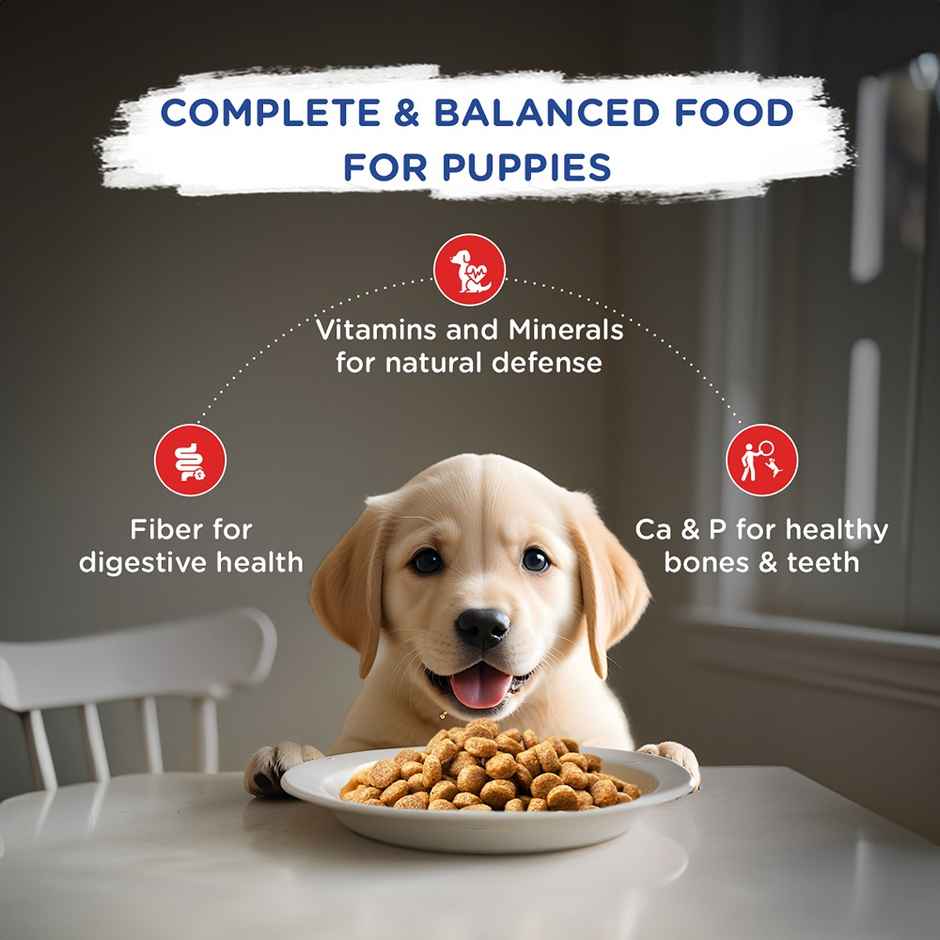 Chappi Puppy Chicken & Milk Dry Dog Food