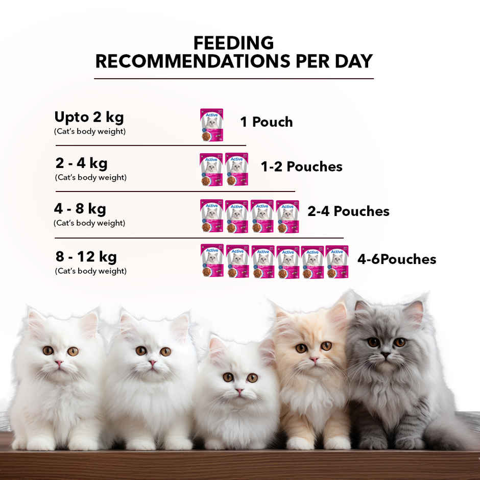 Active Adult Cat Wet Food, Real Tuna in Gravy, 8 Pouches (Buy 1 Get 1 Free)