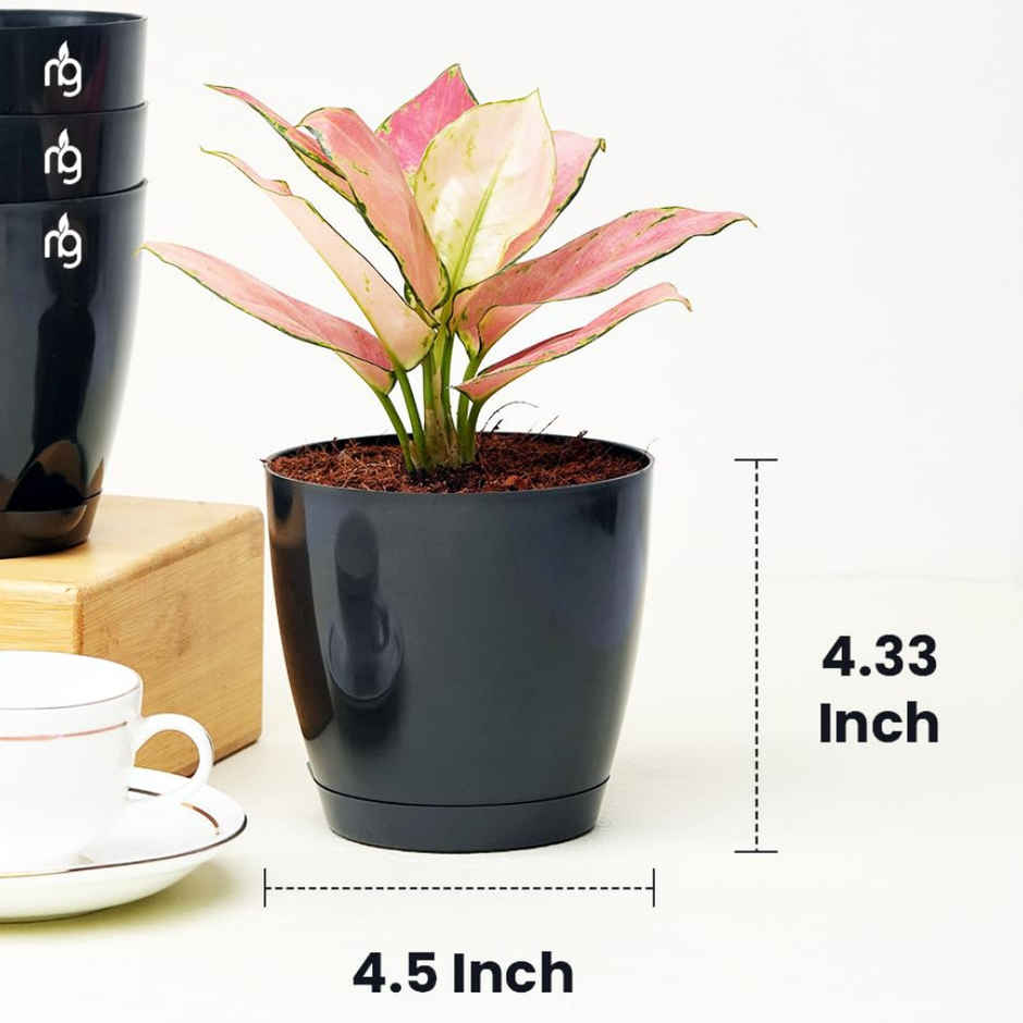 Nurturing Green - Self Watering Pots | Set of 3 | Black | 11.5cm x 11cm | Plant Pots with Tray