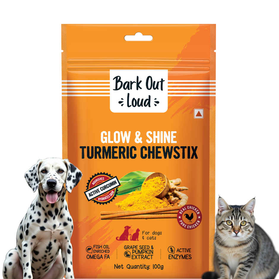 Bark Out Loud Dog Treat & Cat Treat | Turmeric Chewstix | Fresh Chicken,Pumpkin & Grape Seed Extract