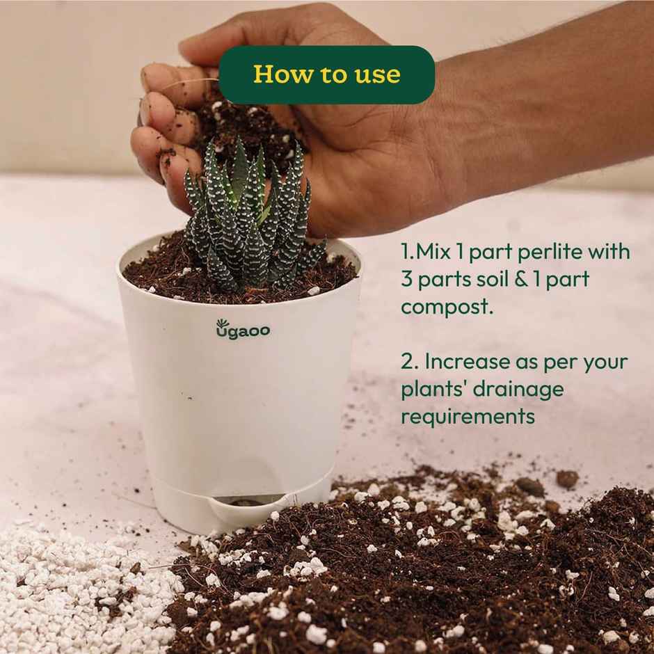 Ugaoo Perlite for Gardening - 250 Grams