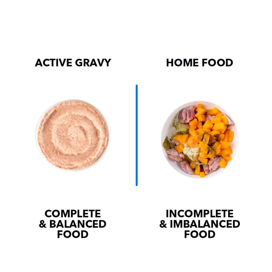 Active Adult Cat Wet Food, Real Ocean Fish in Gravy, 8 Pouches ( Buy 1 Get 1 Free)