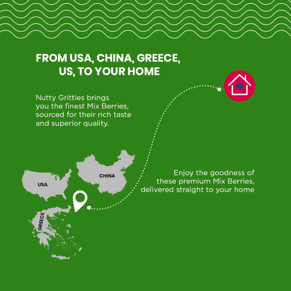 Nutty Gritties Premium Mix Berries - 4 in 1 Fibre-Rich Snack