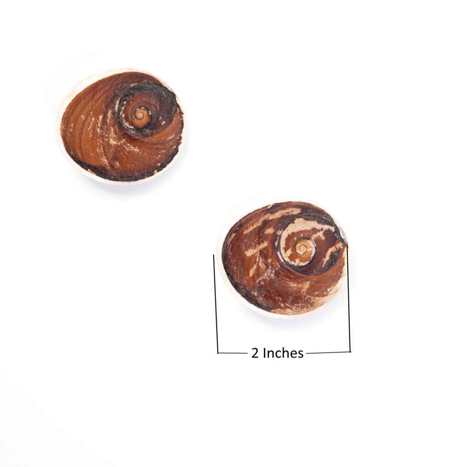 Gomti Chakra | Symbol of Maa Laxmi | Procured from Sacred Gomti River | Pujashree