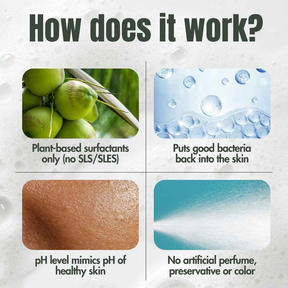 Hibiscus Monkey Cardamom Zen Probiotics Body Wash