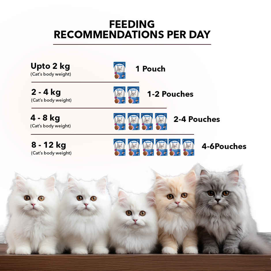 Active Adult Cat Wet Food, Real Chicken in Gravy, 8 Pouches (Buy 1 Get 1 Free)