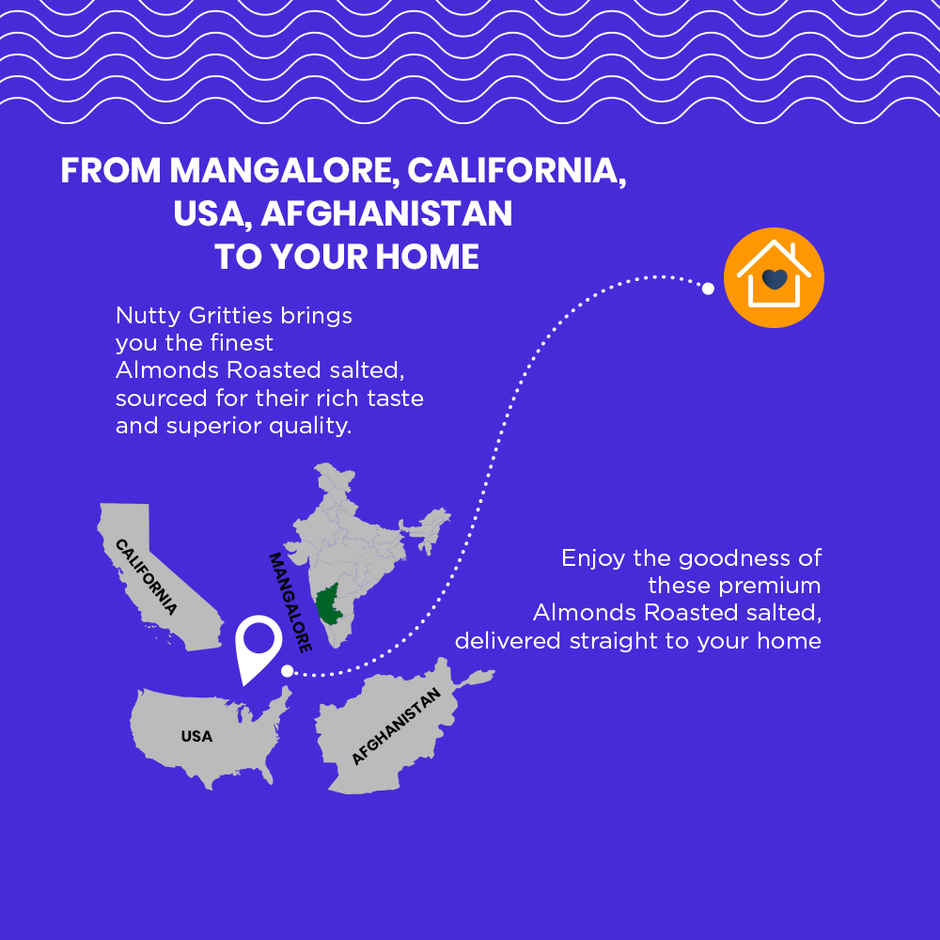 Nutty Gritties Premium Sports Mix - High Protein Snack