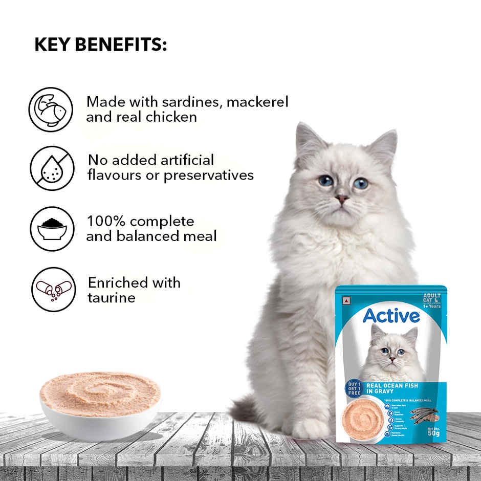 Active Adult Cat Wet Food, Real Ocean Fish in Gravy, 8 Pouches ( Buy 1 Get 1 Free)