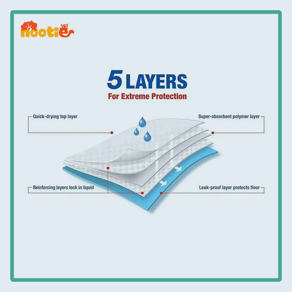 Nootie Super Absorbent Leak-Proof Puppy & Dog Training Pads | 60x90 cm