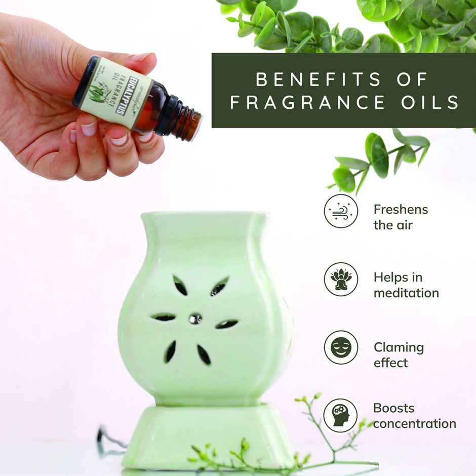 Aromahpure Fragrance Oil | Eucalyptus