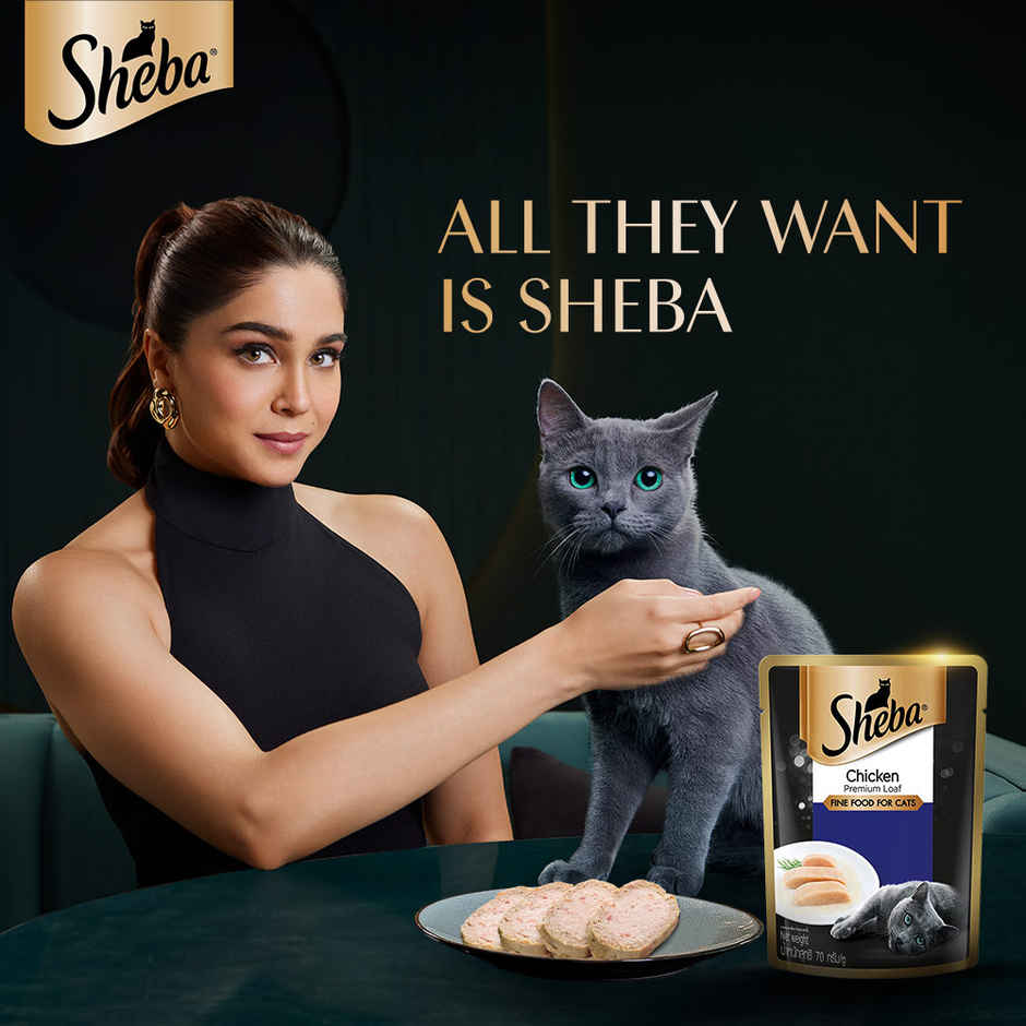 Sheba Fine Adult Chicken Premium Loaf Wet Cat Food