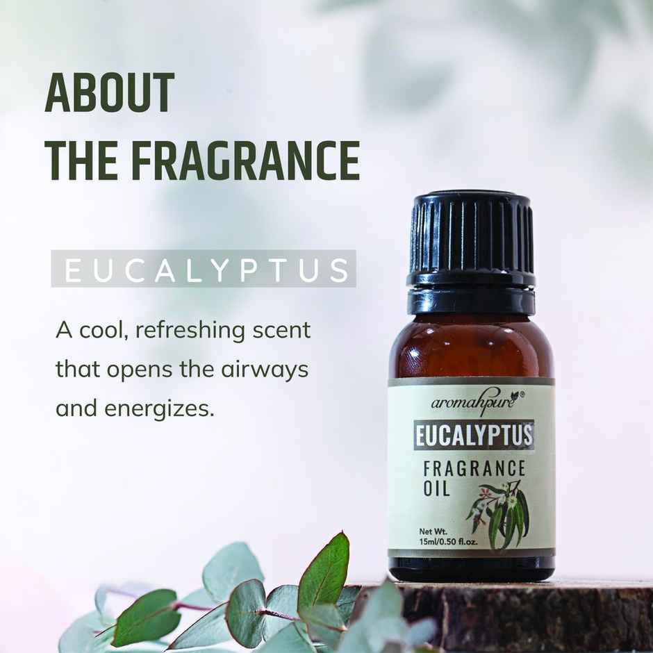 Aromahpure Fragrance Oil | Eucalyptus