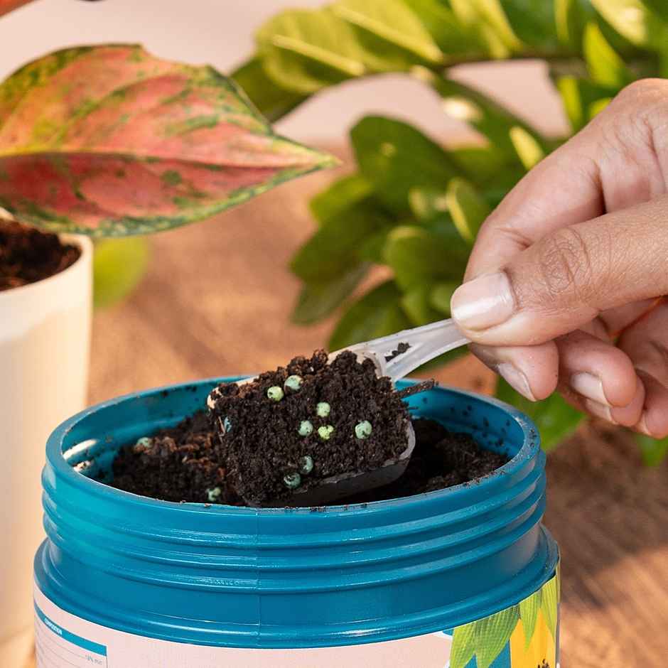 Nurturing Green - Plant Food | 100gm | Growth Supplement | Fertillizer for Soil and Plant Care