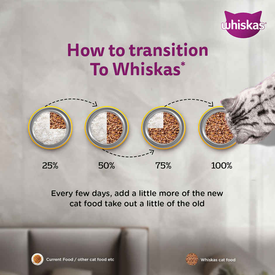 Whiskas Junior Chicken in Gravy Wet Cat Food