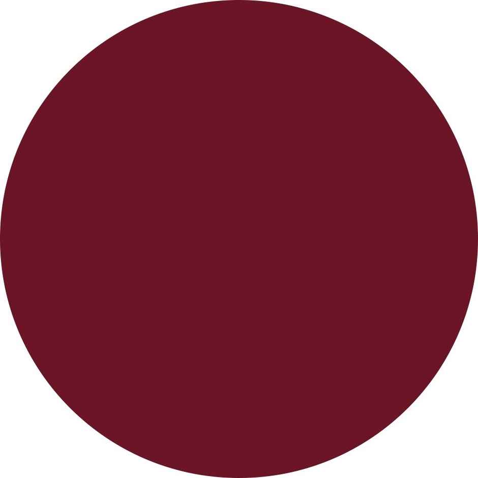 Renee Everstay Long Stay Matte Lipstick 04 Berry Blaze