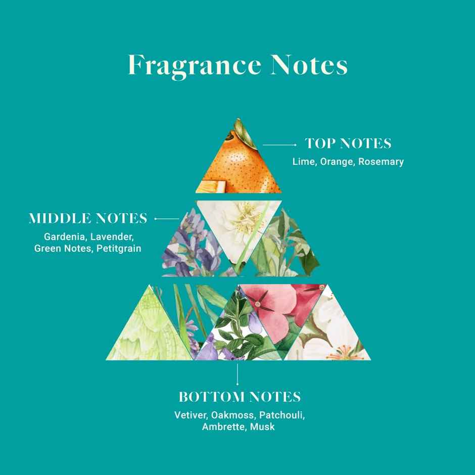 Adeha Waves Of Serenity Air Freshener | Pouch