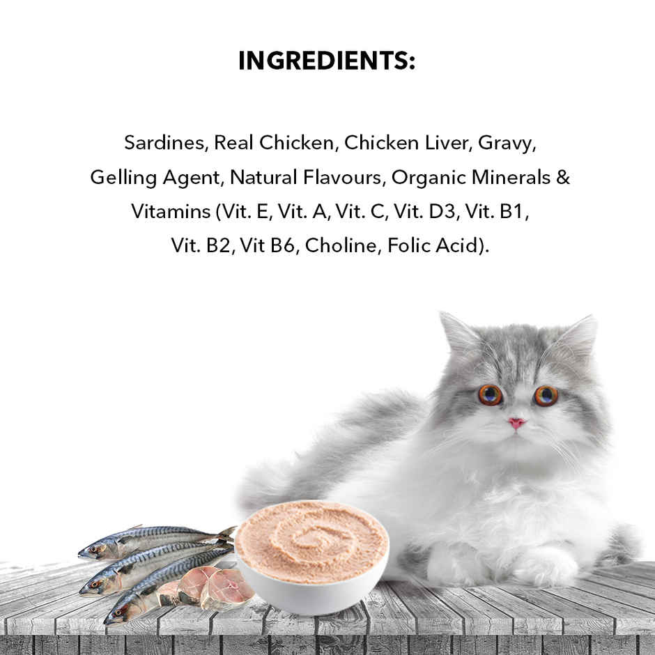 Active Adult Cat Wet Food, Real Ocean Fish in Gravy, 8 Pouches ( Buy 1 Get 1 Free)