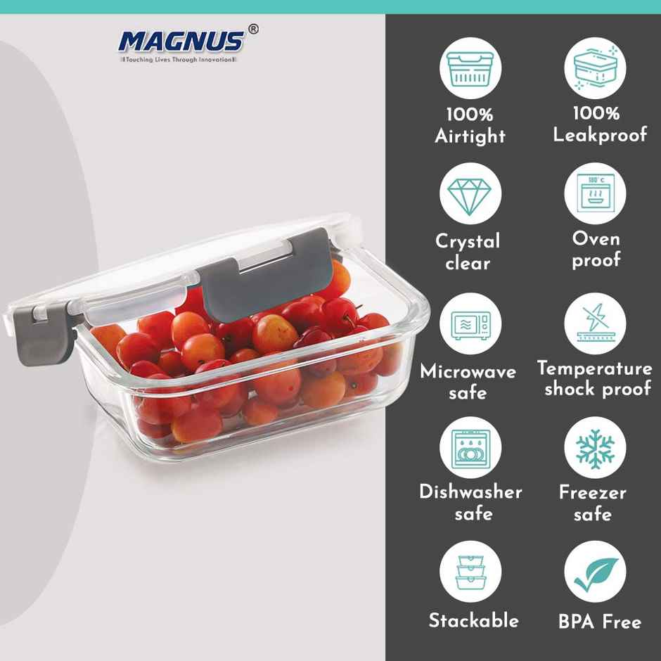 Magnus Glock 370 ml Rectangle Grey Borosilicate Glass Container With Detachable Lock