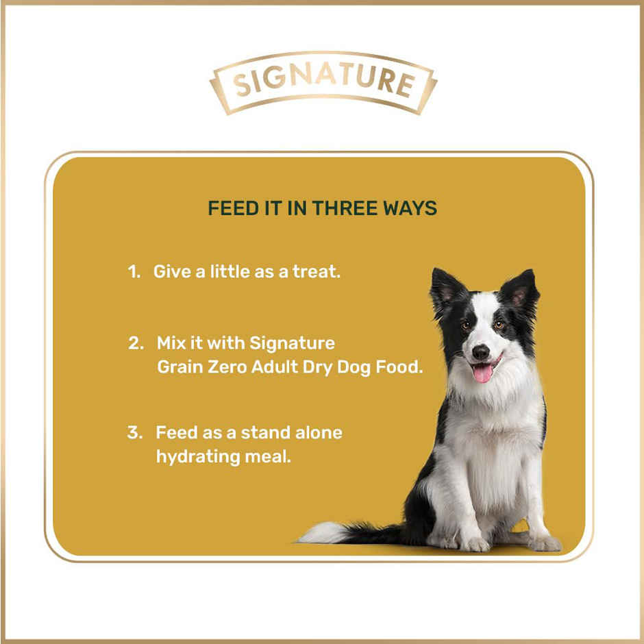 Grain Zero Adult Chicken Chunks Gravy Wet Dog Food (5 +1 Pouch Free)