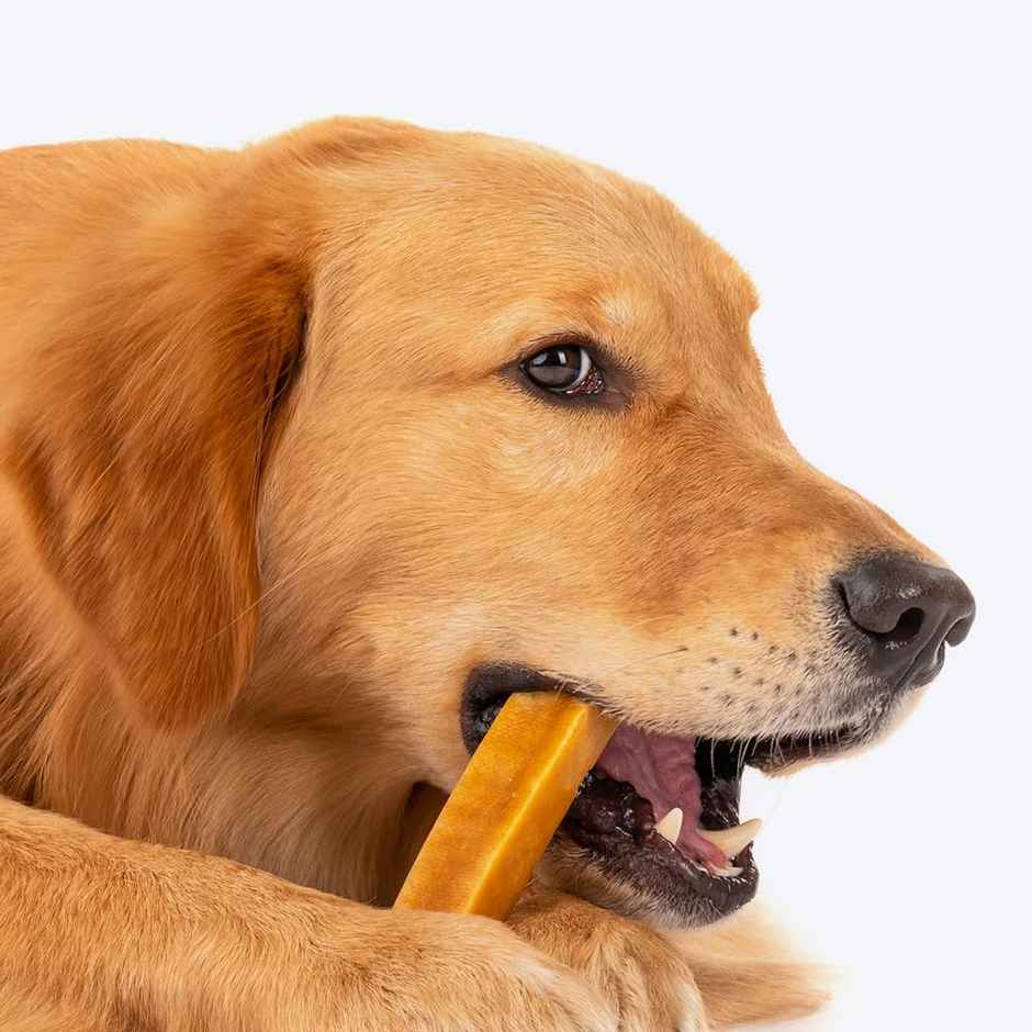 HUFT Yakies Chew Bone Dog Treat Large,12 Weeks And Above Pack