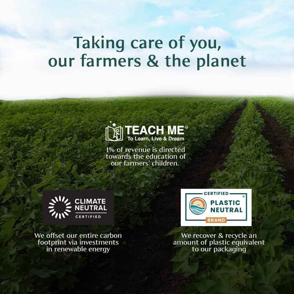 Vahdam Honey and Lemon Green Tea