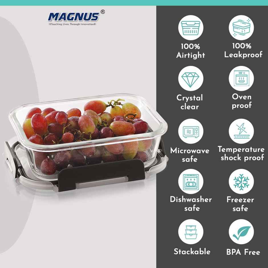 Magnus Glock 640 ml Rectangle Grey Borosilicate Glass Container With Detachable Lock