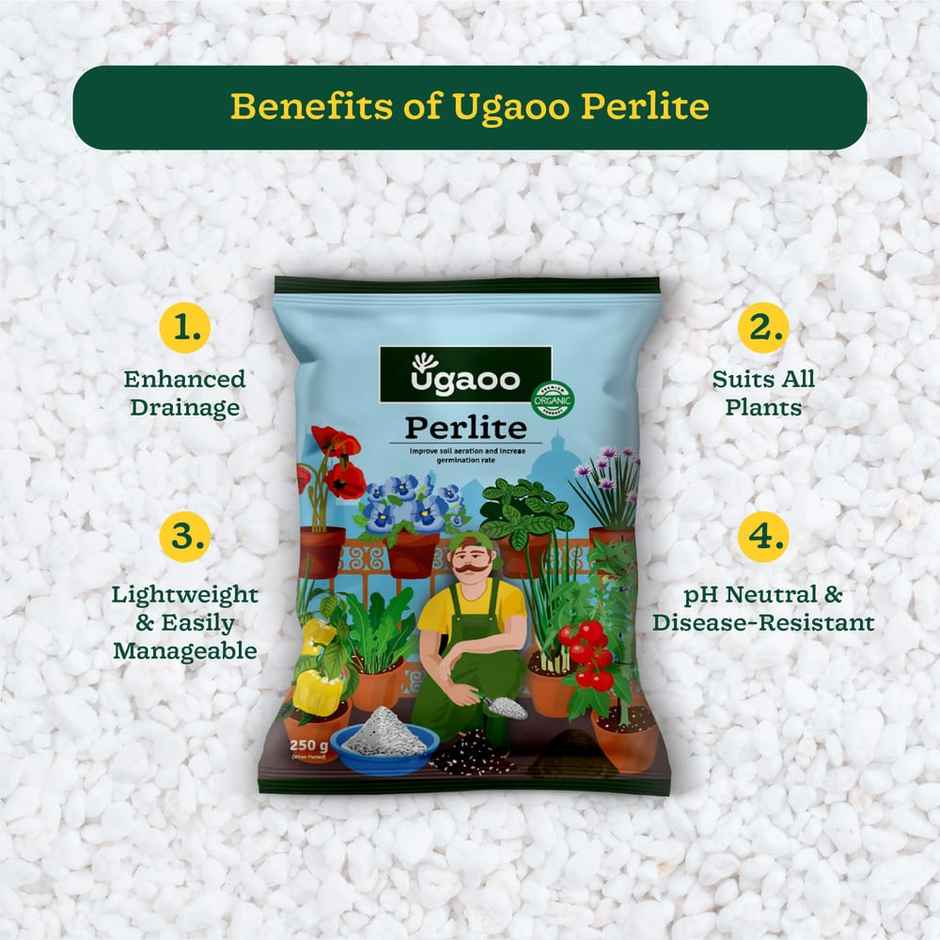 Ugaoo Perlite for Gardening - 250 Grams