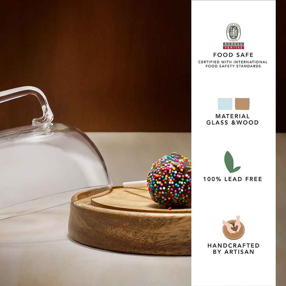 Ellementry Dome Glass Cloche With Wooden Base- Small