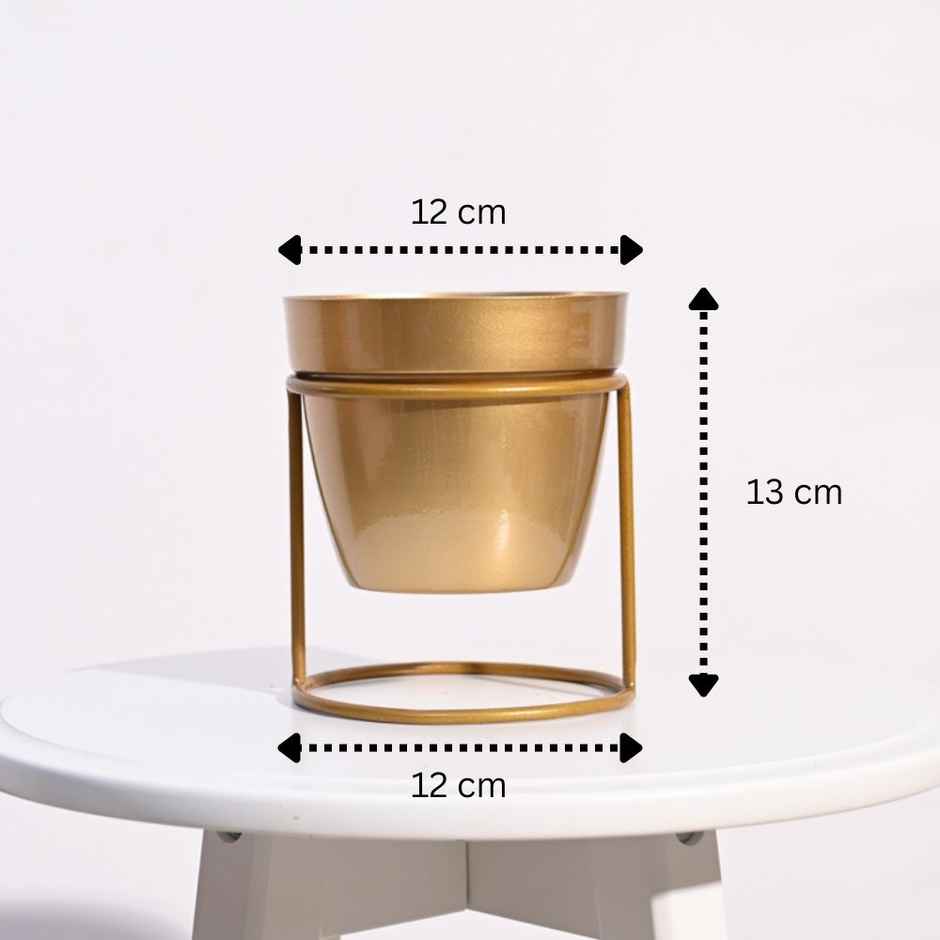 Ugaoo NYX Floor Planter for Home & Balcony Garden | Gold