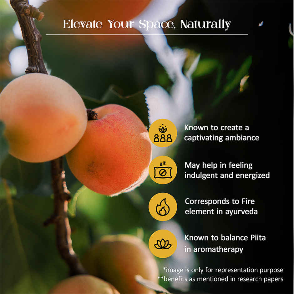 Tattvic Essence Luxury Reed Diffuser Set | Peach & Saffron - 120 ml