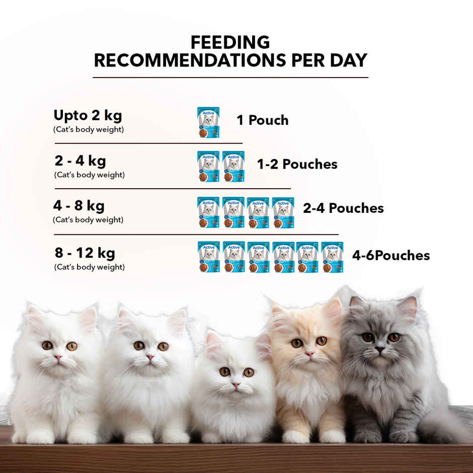 Active Adult Cat Wet Food, Real Ocean Fish in Gravy, 8 Pouches ( Buy 1 Get 1 Free)