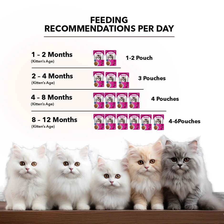 Active Kitten Wet Food, Real Tuna in Gravy, 8 Pouches (Buy 1 Get 1 Free)