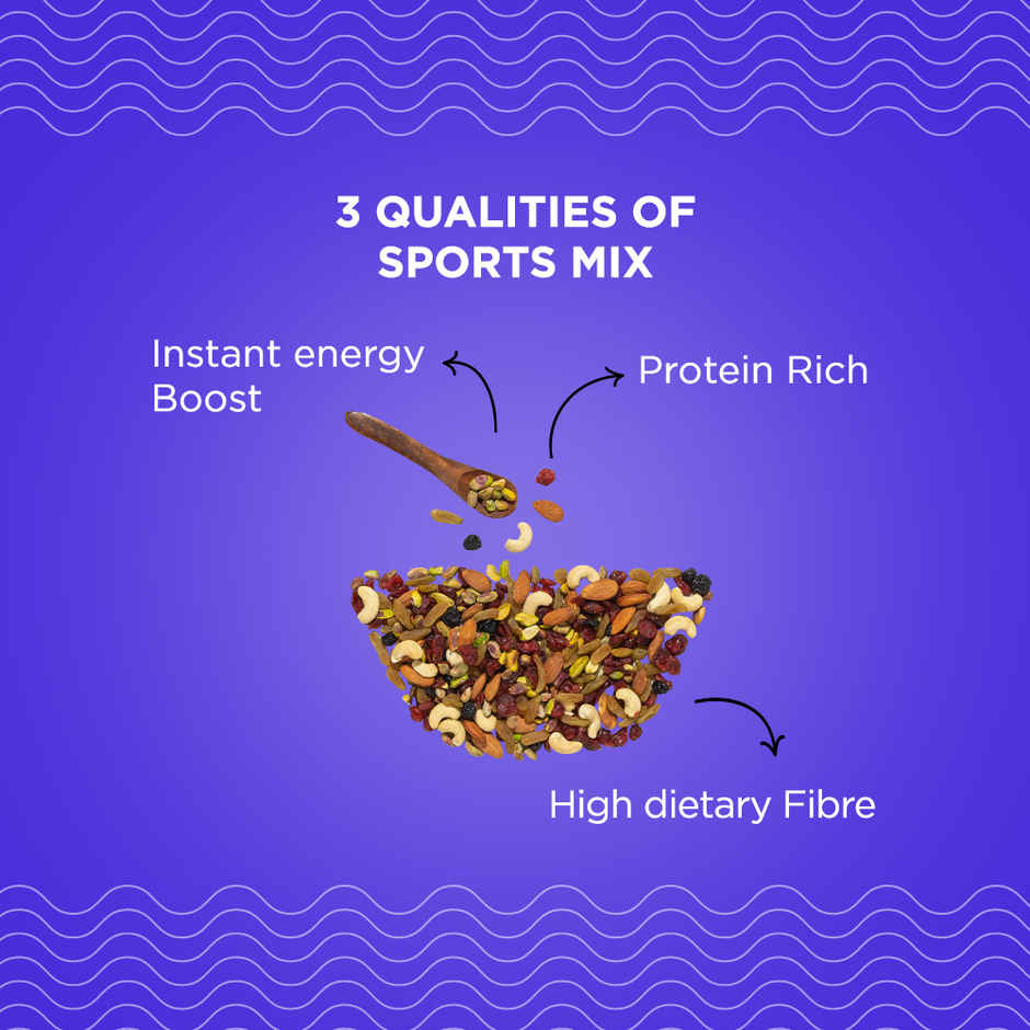 Nutty Gritties Premium Sports Mix - High Protein Snack