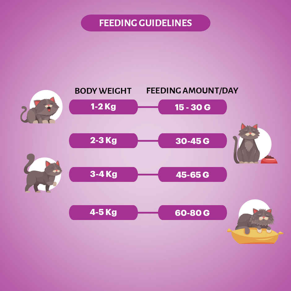 Grain Zero Tuna, Adult Dry Cat Food, 1.2 Kg + Free Cat Creamy Treat 75 g