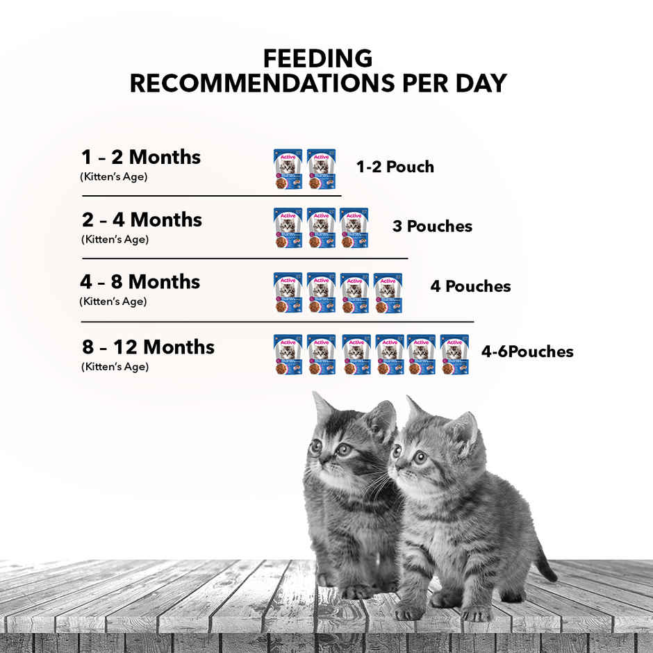 Active Kitten Wet Food, Real Chicken in Gravy, 8 Pouches (Buy 1 Get 1 Free)