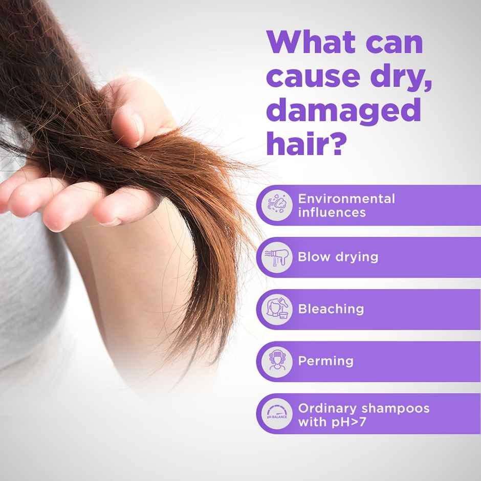 Sebamed Hair Repair Shampoo | pH5.5 | 47% less hair-dryness confirmed