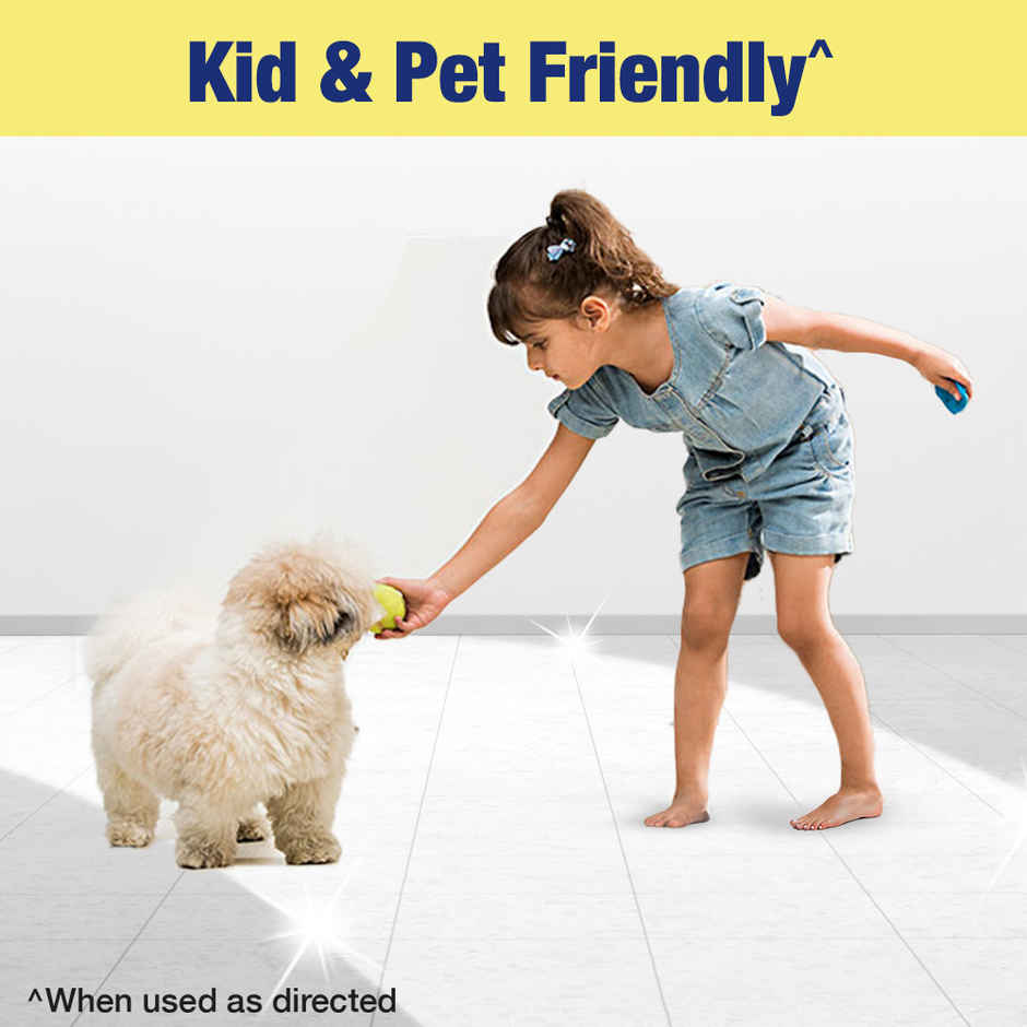 Lizol Citrus Floor Cleaner Liquid