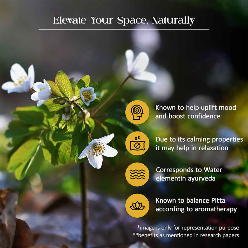 Tattvic Essence Luxury Reed Diffuser Set | Jasmine - 60 ml