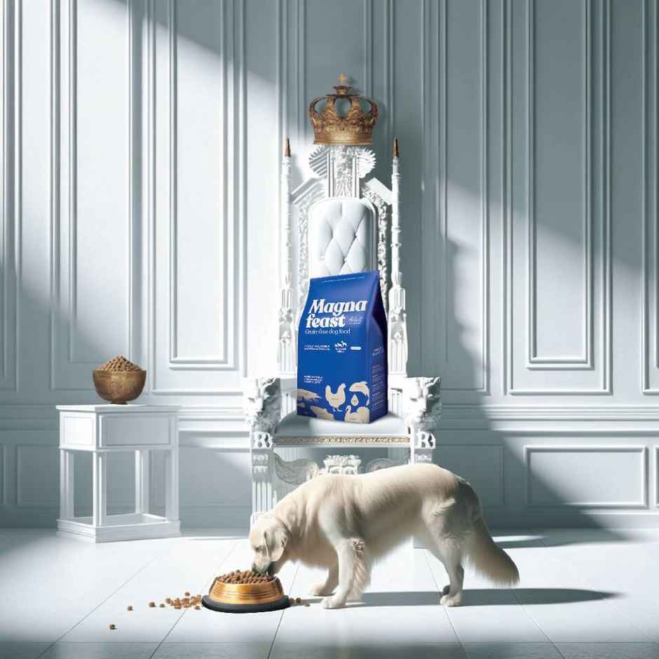 Magnafeast Adult Dog FOOD