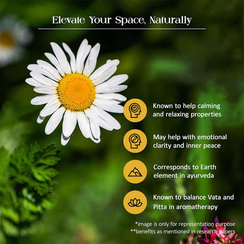 Tattvic Essence Luxury Reed Diffuser Set | Patchouli & Chamomile - 120 ml