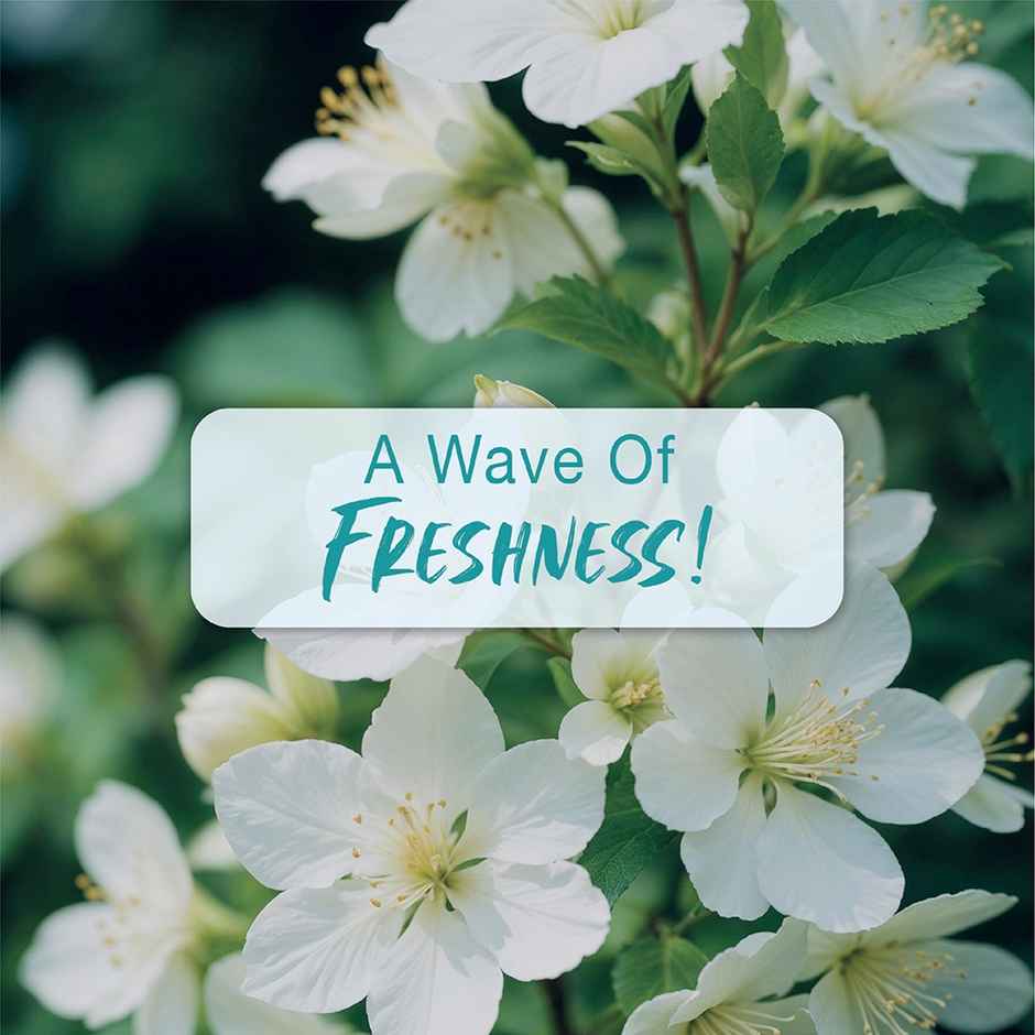 Secret Temptation Te Amo Aqua No Gas Perfume Body Spray for Women