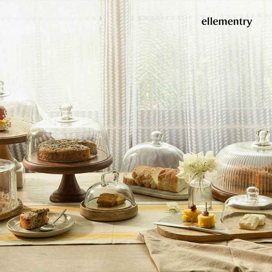 Ellementry Dome Glass Cloche With Wooden Base- Small
