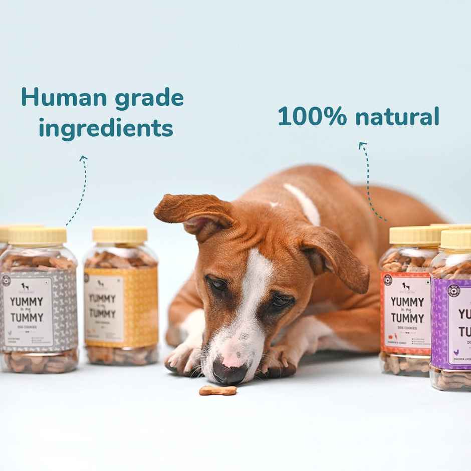 HUFT Yummy In My Tummy Dog Biscuit Chicken & Cheese Flavour Box