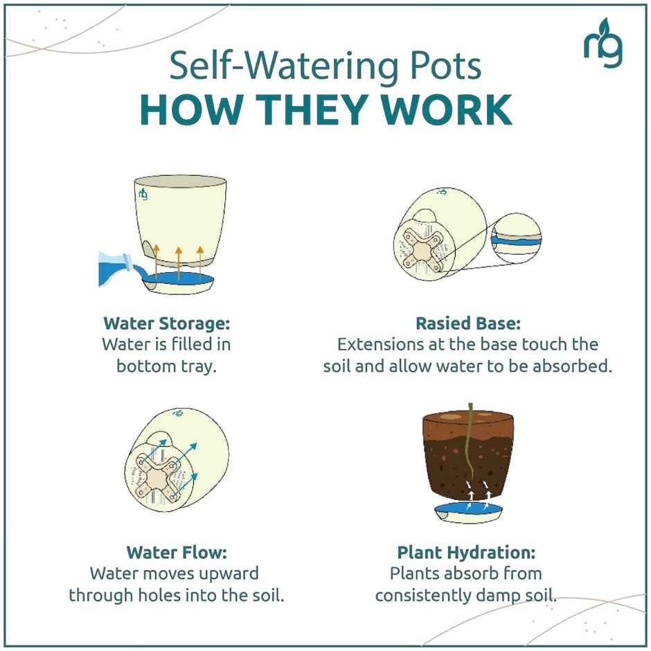 Nurturing Green - Self Watering Pots | Set of 5 | Sea Green | Size: 8cm x 6.5cm